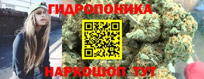 трава Будённовск