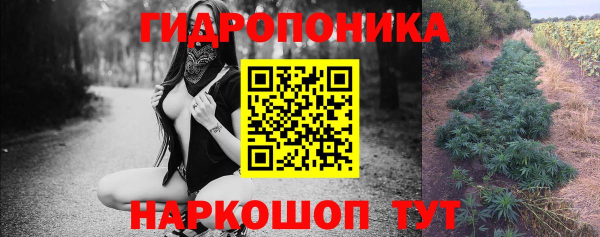 Канабис план Череповец